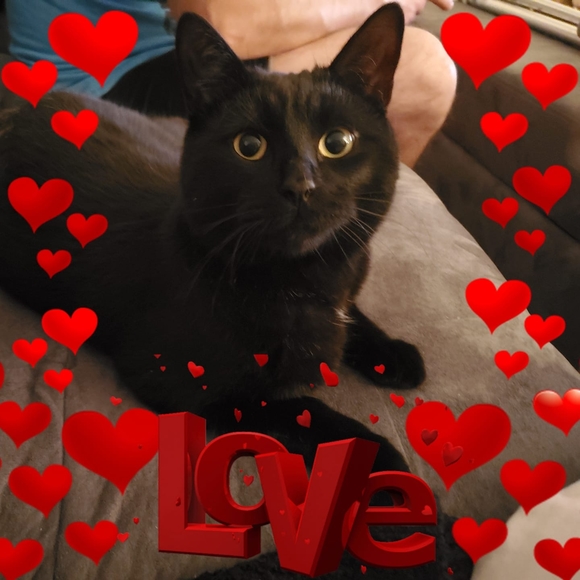 Meet your Posher, Therese - Picture 1 of 1